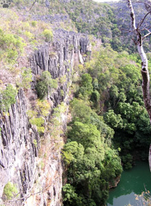 view