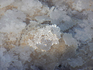 salt