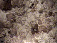 cave