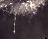 cave