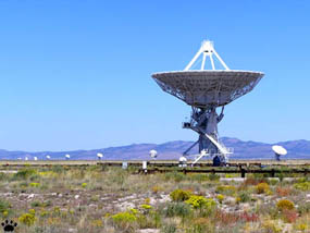 vla