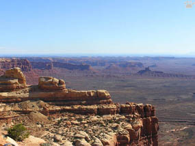 view