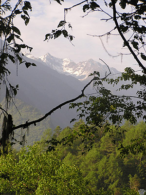 view